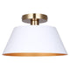 Daxton 1-Light Semi Flush
