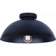 Eddie 1-Light Semi Flush