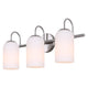 Novalee 3-Light Vanity Light