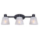 Luelle 3-Light Vanity Light