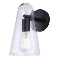 Luisa 1-Light Wall Fixture