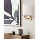 Daphne 1-Light Wall Fixture