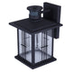 Grant 1-Light Outdoor Lantern