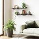 Surf Wall Shelves (Set of 2)