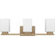 Joyner 3-Light Bath Light
