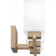 Joyner 3-Light Bath Light