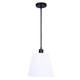 Aspen 2-Light Pendant