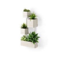 Cubiko Wall Planter
