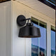 Orillia 1-Light Outdoor Lantern