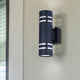 Braxton 2-Light Outdoor Lantern