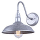 Desi 1-Light Outdoor Lantern