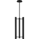 Visual Comfort Studio Collection - Carson 2-Light Pendant - Lights Canada