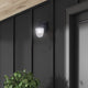 Seni 1-Light Outdoor Lantern
