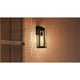Mesnick Medium Outdoor Wall Lantern
