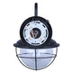 Alaric 1-Light Outdoor Lantern