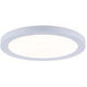 LED Disc Light