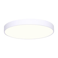 Luna LED 8" Disc Light