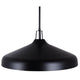 Holland 4-Light Pendant