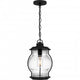 Luther Outdoor Lantern