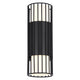 Javon 2-Light LED Outdoor Wall Light