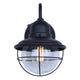 Alaric 1-Light Outdoor Lantern