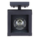 Shana 1-Light Outdoor Lantern