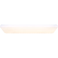 50W LED Utility Worklight