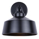 Orillia 1-Light Outdoor Lantern