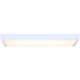 LED Utility Worklight