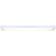 LED Utility Worklight