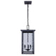 Shana 3-Light Outdoor Pendant