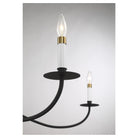 Meridian - 6-Light Chandelier - Lights Canada