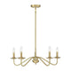 Meridian - 5-Light Chandelier - Lights Canada