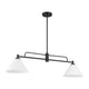 2-Light Linear Chandelier