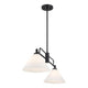 2-Light Linear Chandelier