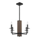 4-Light Chandelier
