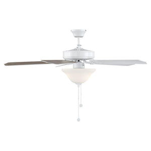 Meridian - 52" 2-Light Ceiling Fan - Lights Canada