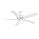 Meridian - 52" Outdoor Ceiling Fan - Lights Canada