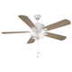 Meridian - 52" 2-Light Outdoor Ceiling Fan - Lights Canada