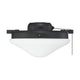Meridian - 2-Light Fan Light Kit - Lights Canada