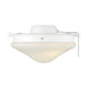 Meridian - 2-Light Fan Light Kit - Lights Canada