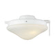 Meridian - 2-Light Fan Light Kit - Lights Canada