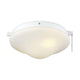 Meridian - 2-Light Fan Light Kit - Lights Canada