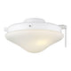 Meridian - 2-Light Fan Light Kit - Lights Canada