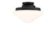 1-Light LED Fan Light Kit