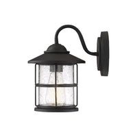 1-Light Outdoor Wall Lantern