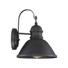 Meridian - 1-Light Outdoor Wall Lantern - Lights Canada