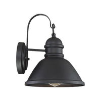 1-Light Outdoor Wall Lantern