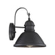 Meridian - 1-Light Outdoor Wall Lantern - Lights Canada