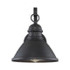 Meridian - 1-Light Outdoor Wall Lantern - Lights Canada